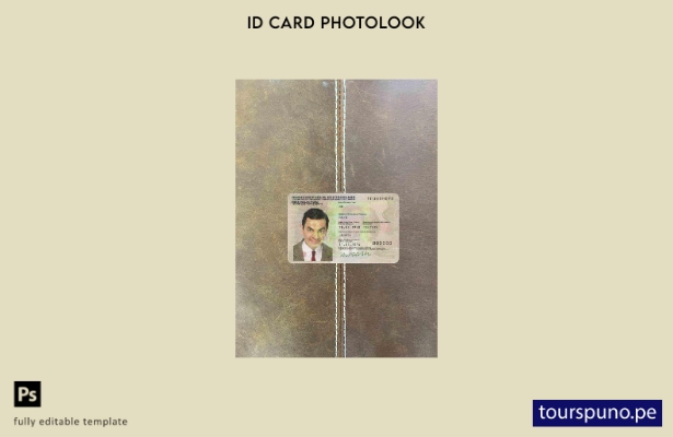 Plantilla FRONTAL lista para imprimir con foto de identificación de Alemania